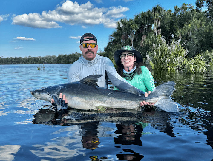 Goliath Catfish