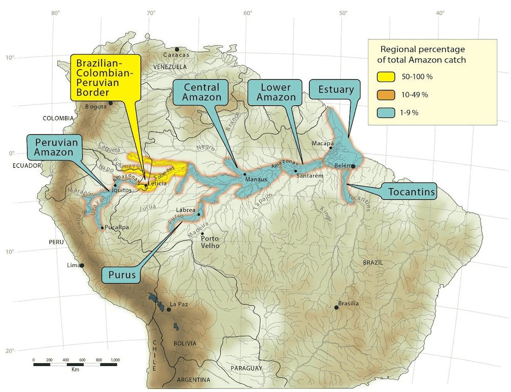 Piraíba Distribution Map