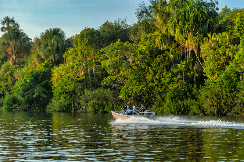 Access to Remote Waters - We fish in protected areas that are hard to reach. These spots see very little pressure and are home to big Peacock Bass and other species.