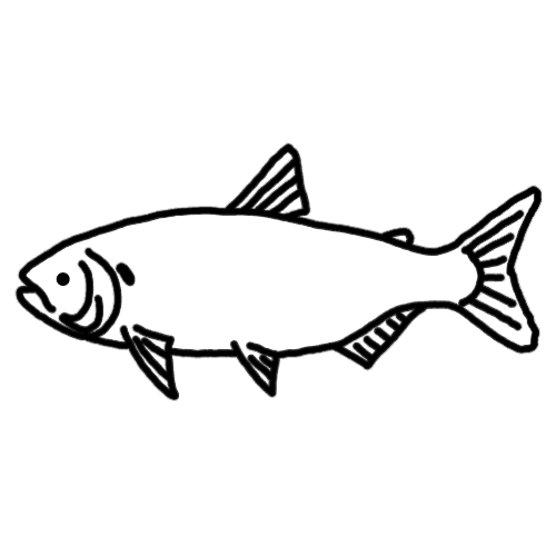 Matrinxã icon - Amazon game fish species
