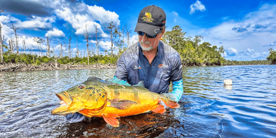 About featured image - About Us in the Amazon