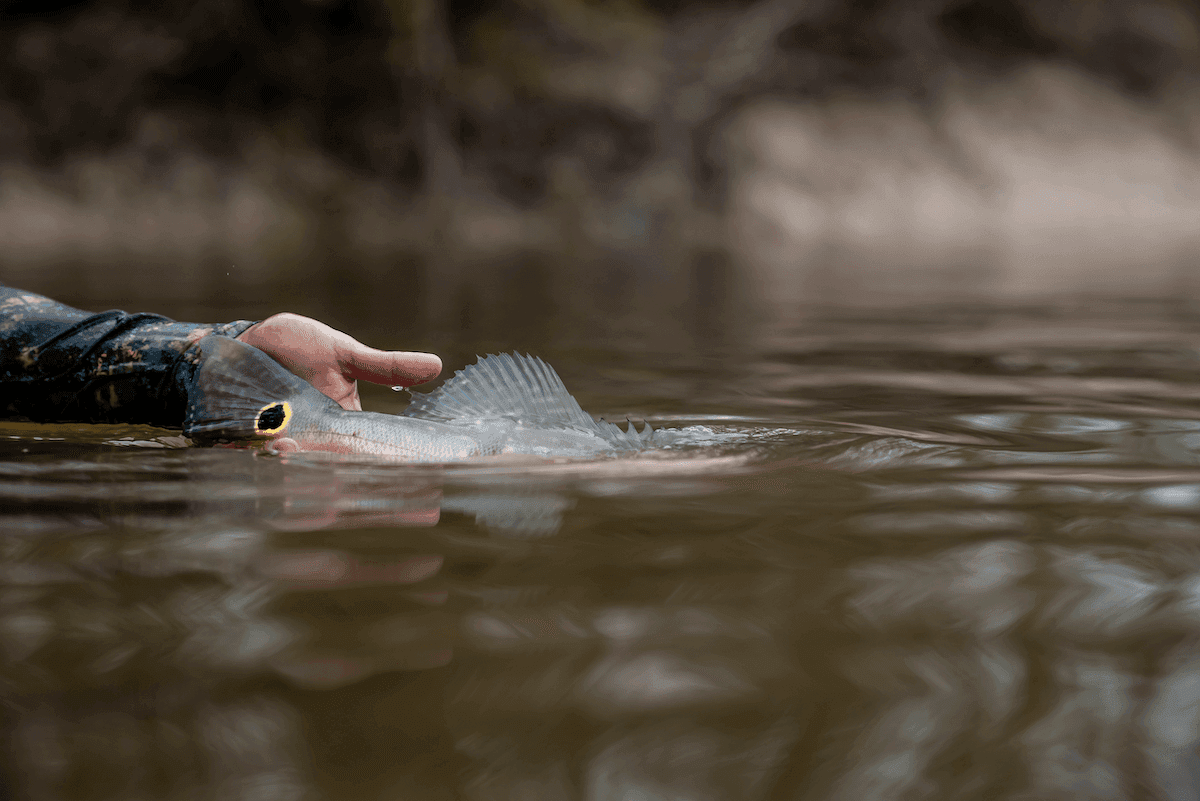 Water level icon - Amazon river seasonal fishing conditions