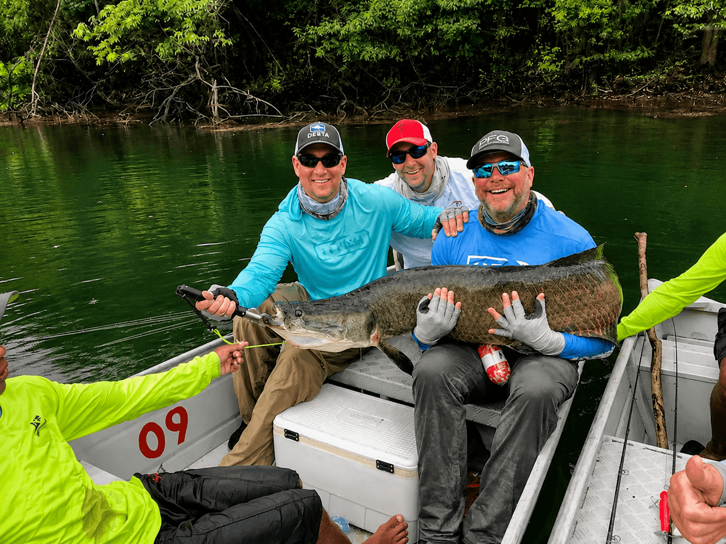 Redtail Catfish