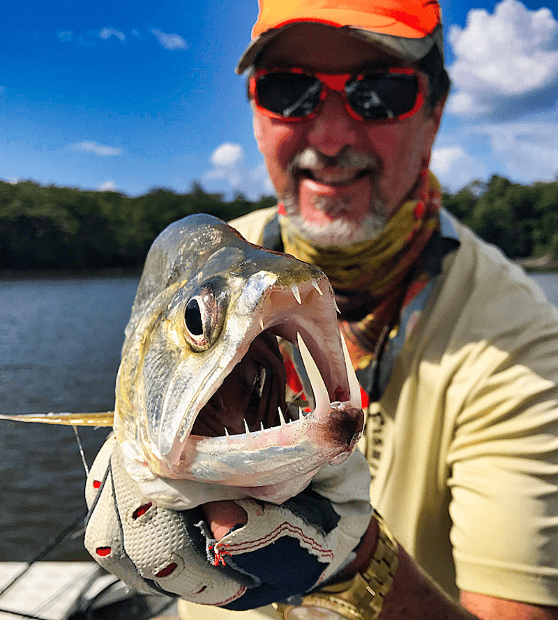 Payara