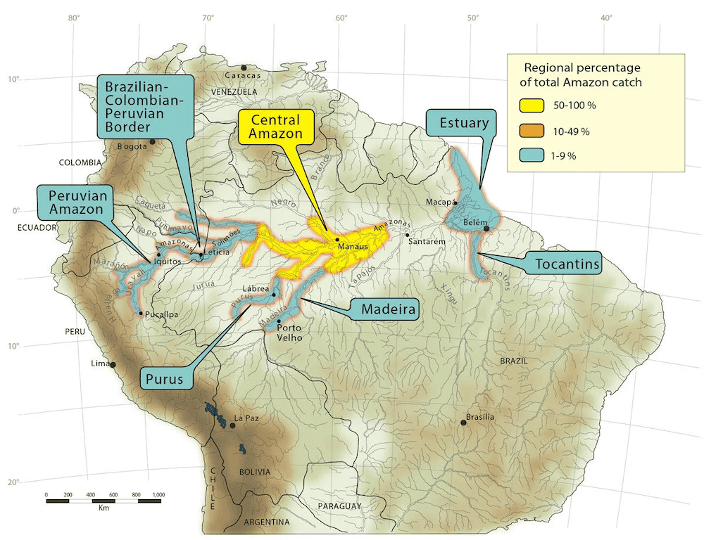 Matrinxã Distribution Map