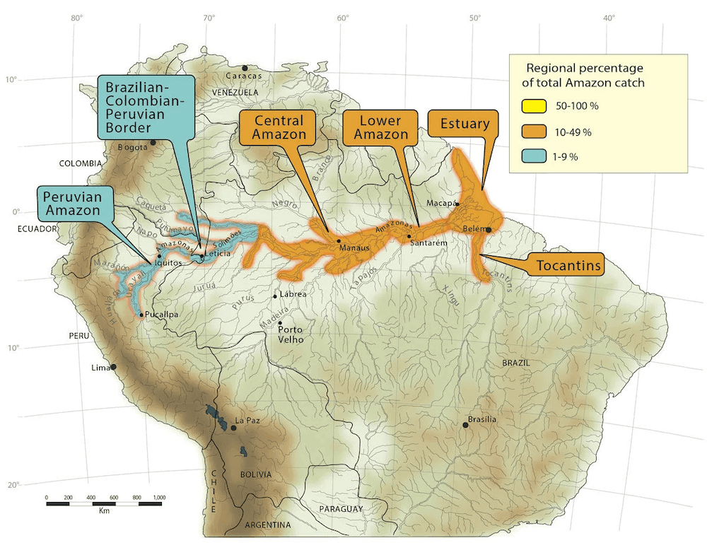 Payara Distribution Map