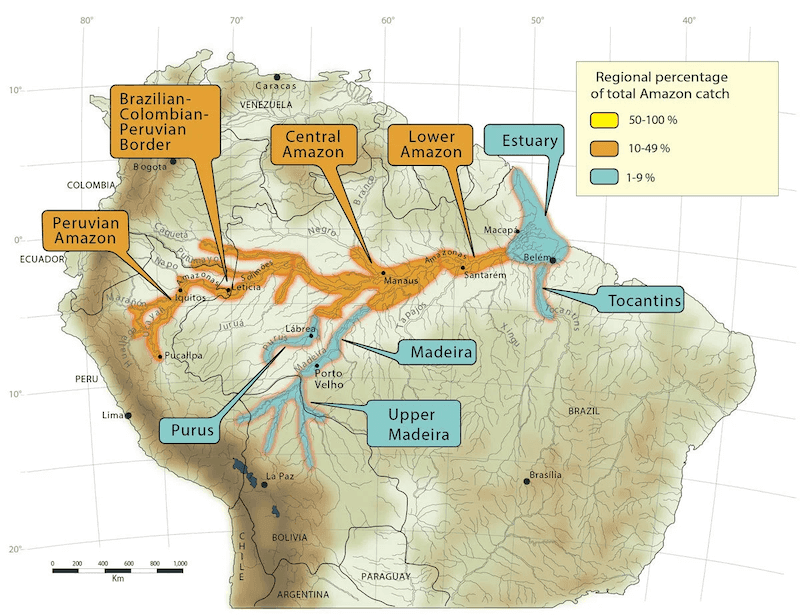 Redtail Distribution Map