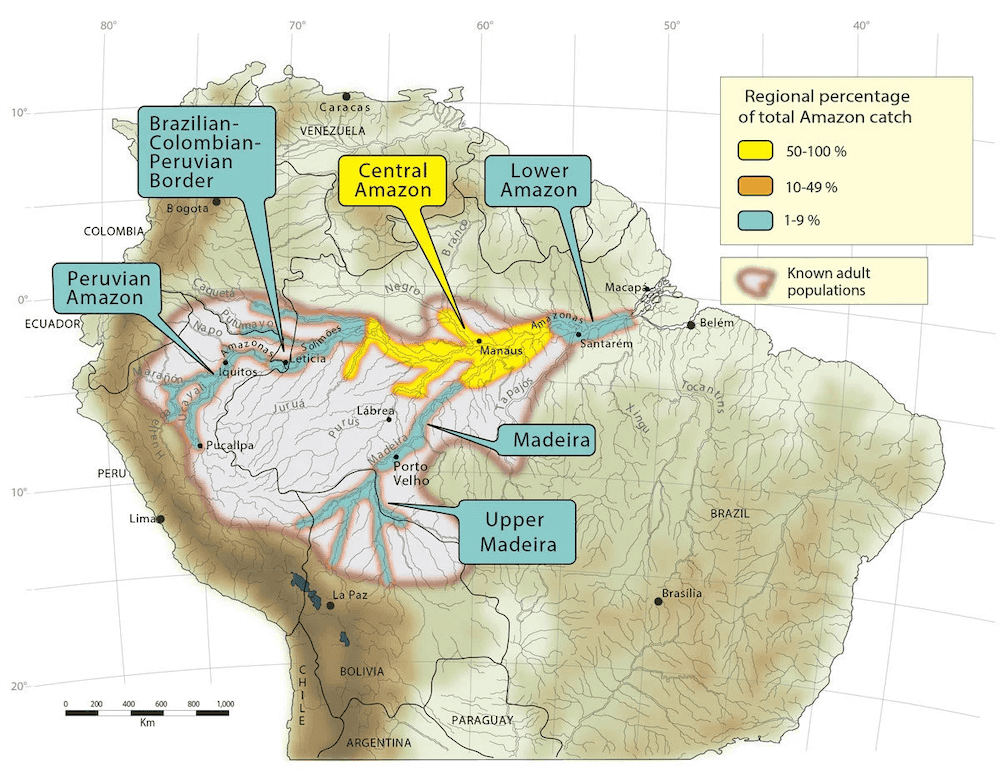 Tambaqui Distribution Map