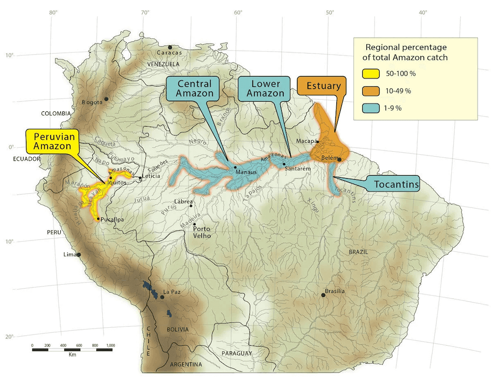 Traira Distribution Map