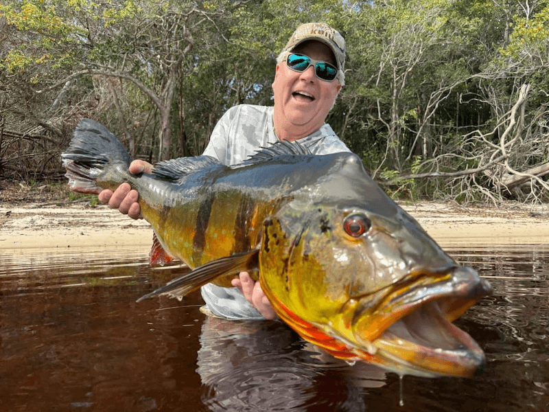 Chasing Legendary Peacock Bass