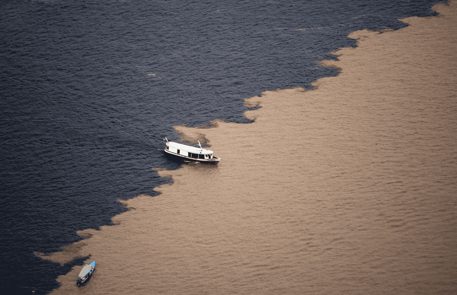 Comparison of dark water and brown water rivers in the Amazon