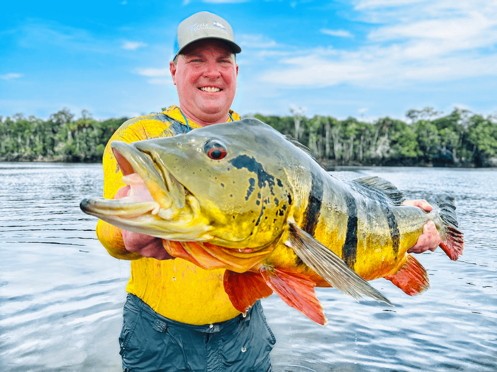 Peacock Bass Fishing Destinations in the Amazon