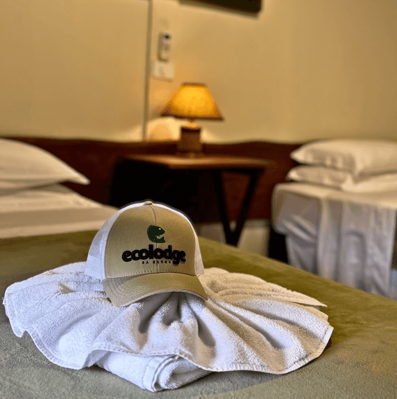 Luxury accommodation 1