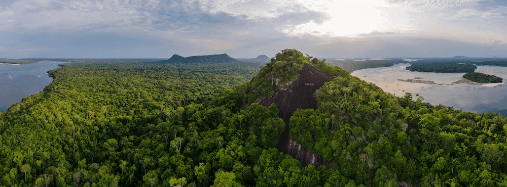 Amazon Rainforest Experience - Fishing Adventure Guide Amazon rainforest experience icon - Jungle fishing adventure guide