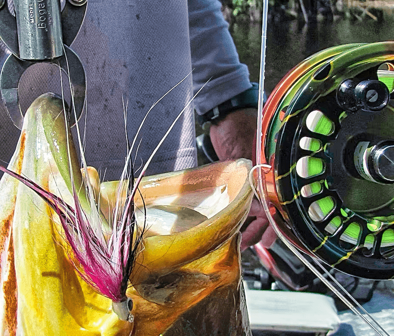 Selection of professional fly fishing rods