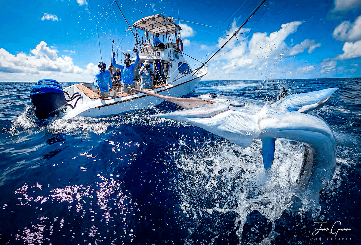 Galapagos Expeditions - Premium Fishing Adventures