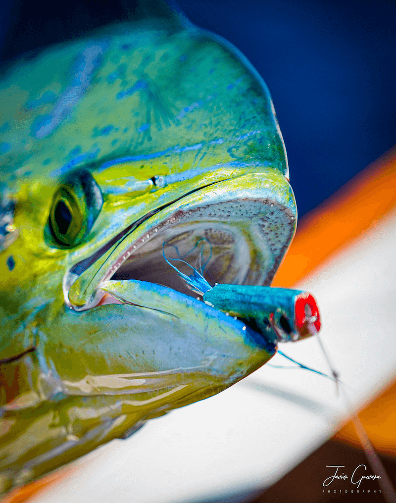 Diverse Fishing Opportunities