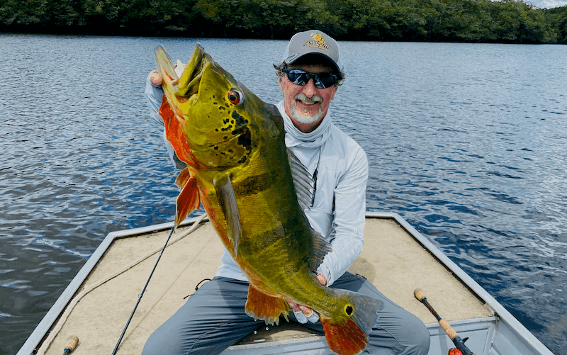 Captain Marc's Amazon Peacock Bass Fishing Expertise Captain Marc Cobos fishing for peacock bass in the Amazon River with 22+ years experience