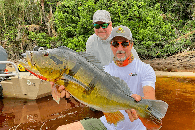 Amazon Fishing Adventure with Captain Marc Cobos Amazon Xtreme Fishing adventure guided by Captain Marc in Brazilian waters