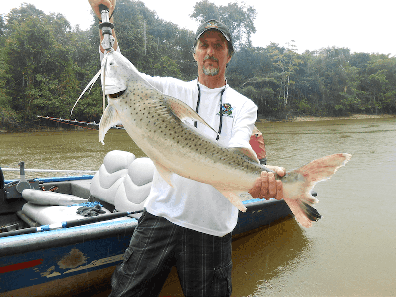 Amazon River Exploration with Expert Guide Captain Marc Exploring pristine Amazon waters with expert guide Captain Marc Cobos
