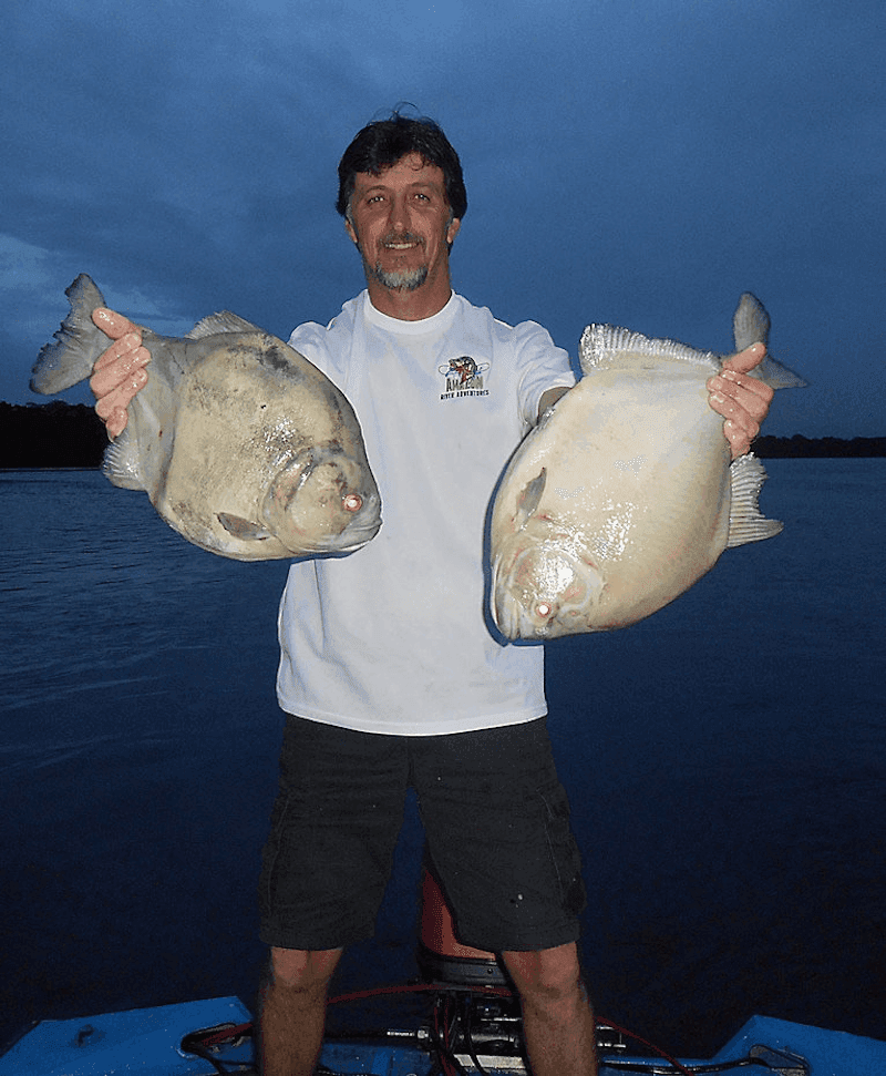 Amazon Fishing Expertise by Captain Marc Cobos Captain Marc Cobos demonstrating fishing expertise in Amazon jungle waters