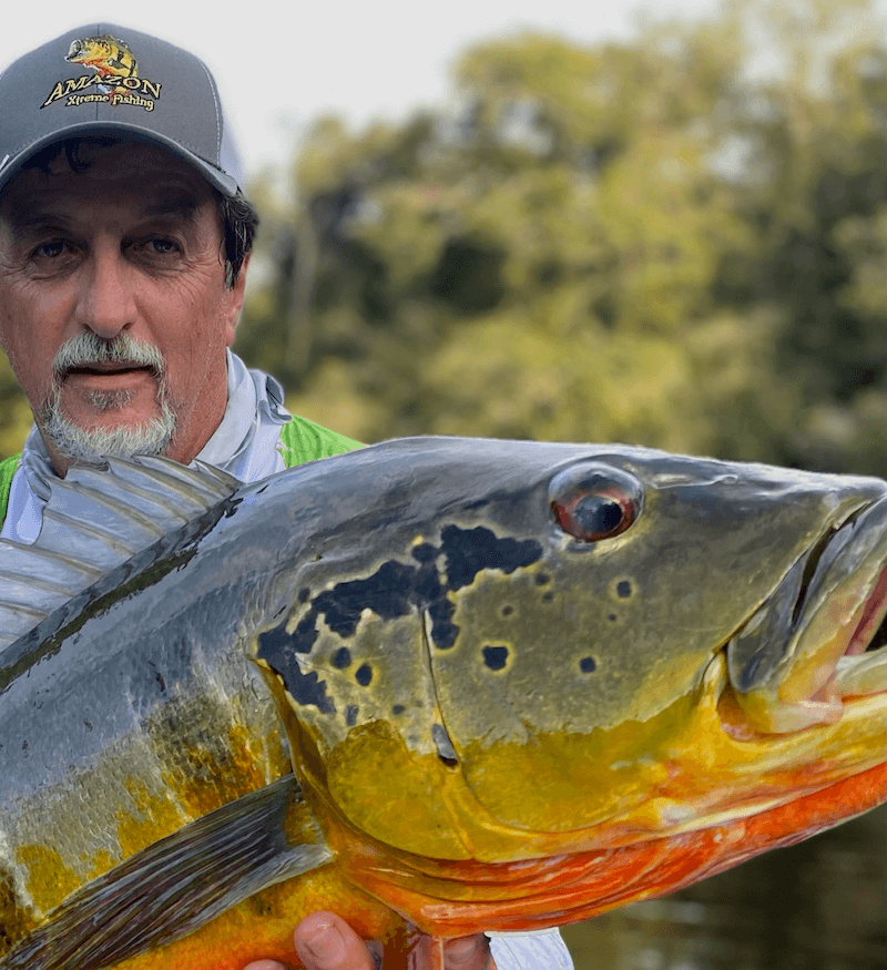 Key takeaways and best practices for Amazon fishing