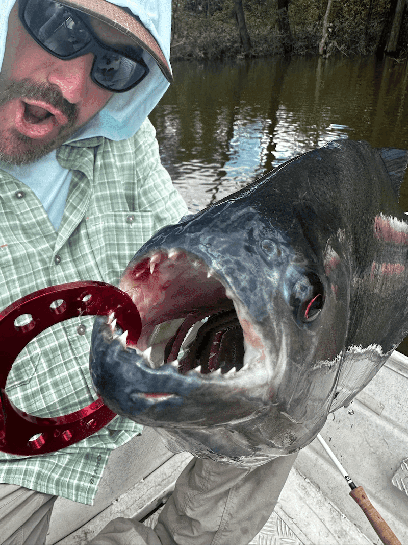 Piranha Fishing Thrill