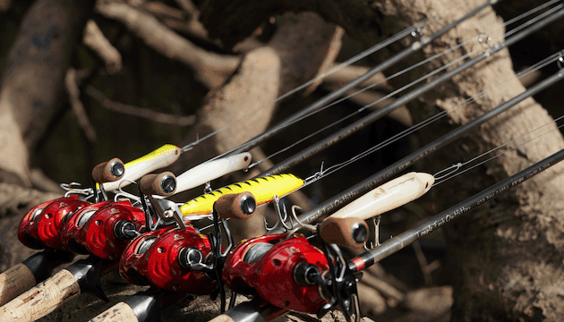 Professional TFO fishing rods provided in our package