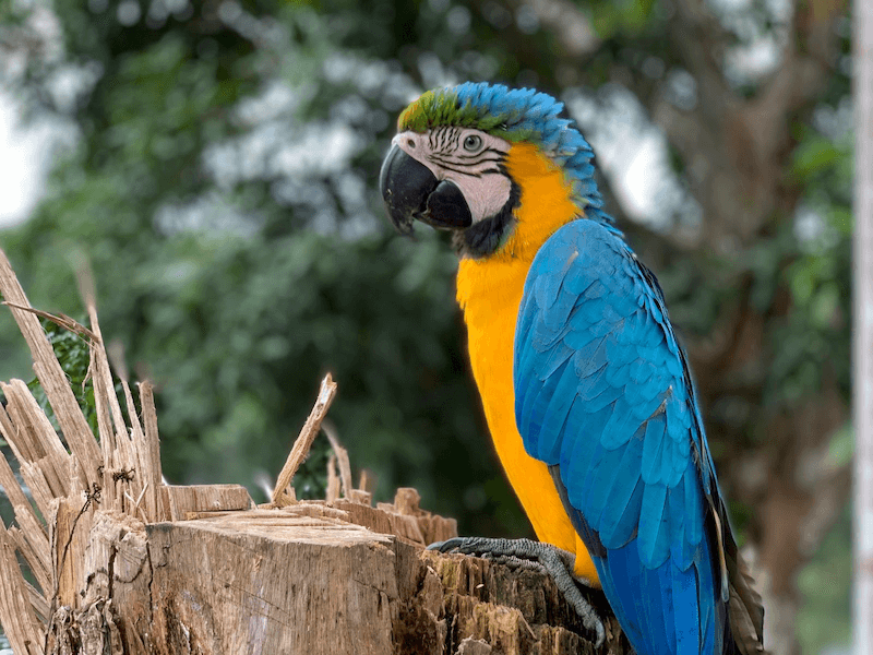 Marc Cobos Host Img 7